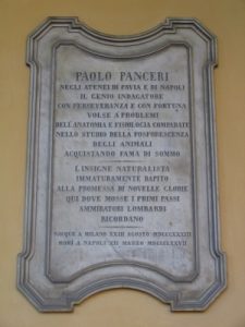 Lapide di Paolo Panceri