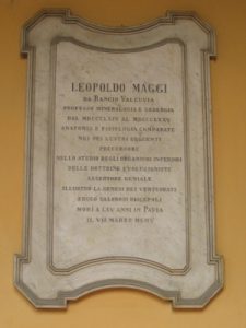 Lapide di Leopoldo Maggi