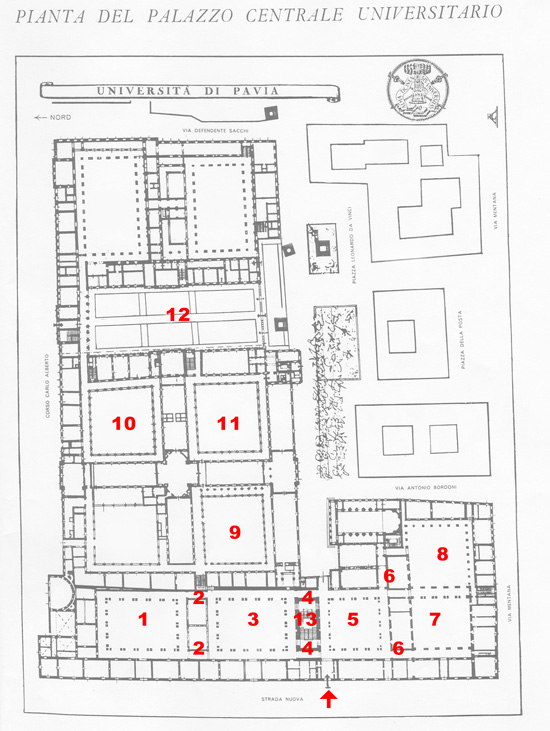 Pianta del Palazzo Centrale universitario