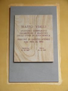 Lapide di Maffo Vialli