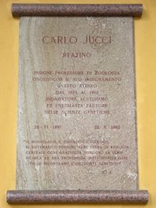 Lapide di Carlo Jucci